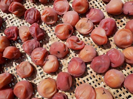 Salted plum Salted plum
