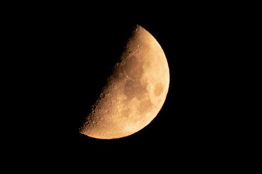 月齢6.8 月齢6.8の写真
