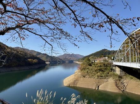九頭竜川夢のかけはし　箱ヶ瀬橋　福井県秋 夢のかけはし,吊り橋,ブリッジの写真素材