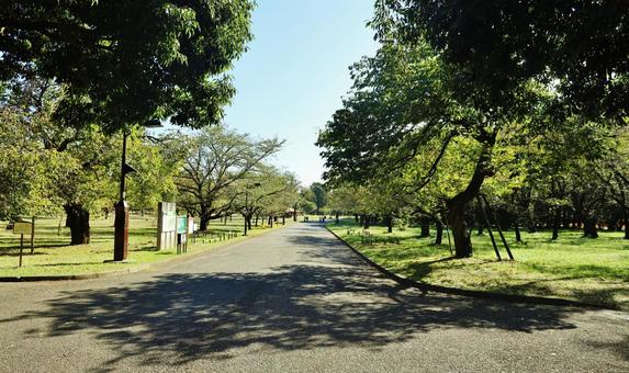 都立小金井公園の写真