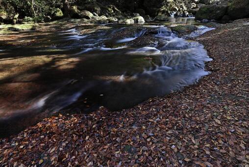 菊池渓谷 菊池渓谷,菊池川,熊本県の写真素材