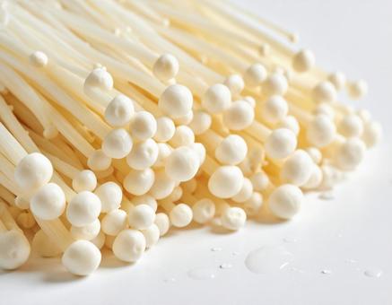 秋の味覚 えのき茸 きのこ 白背景 秋の味覚 えのき茸 きのこ 白背景の写真