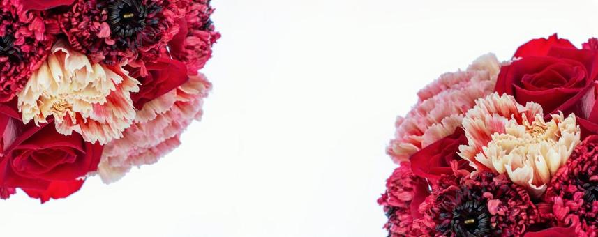 主に赤やピンクの3種花束素材 主に赤やピンクの3種花束素材の写真