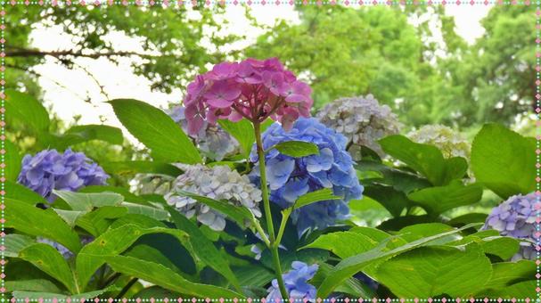 背景素材 背景素材の写真
