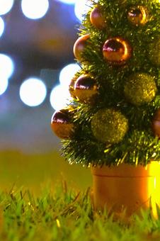 芝の上のツリー クリスマス,ツリー,芝生の写真素材