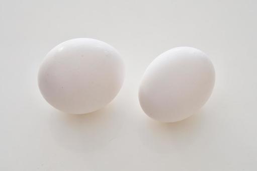 大きさが違う2個の白い鶏卵 大きさが違う2個の白い鶏卵 卵,たまご,ニワトリの写真素材