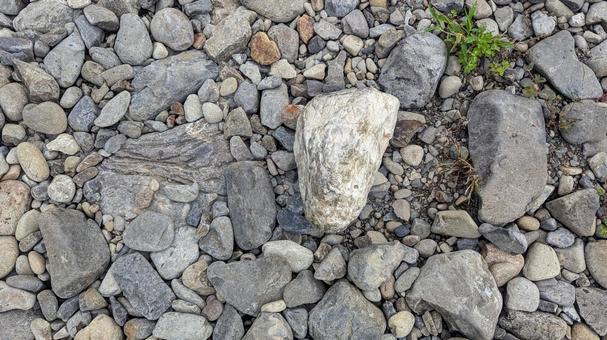 河原の石(石の地面) 河原の石(石の地面)の写真