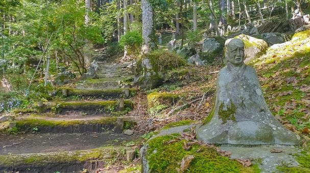 苔の参道 苔の参道 箱根,長安寺,羅漢の写真素材