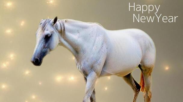 白馬 年賀状(背景金色) 年賀状,正月,白馬の写真素材