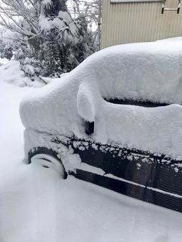 雪と車 雪と車の写真