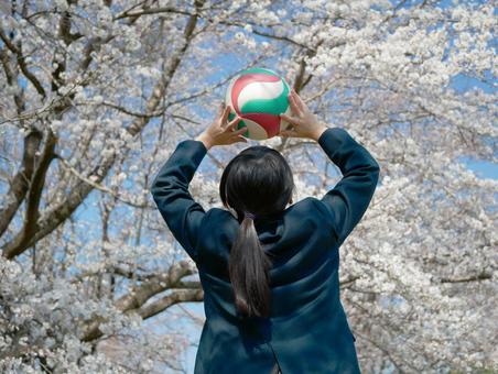 中学校の部活 中学校の部活 バレーボール,中学生,女バレの写真素材