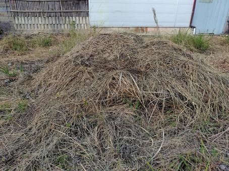 積まれた草刈り後の大きな藁山 草刈り,雑草,藁の写真素材