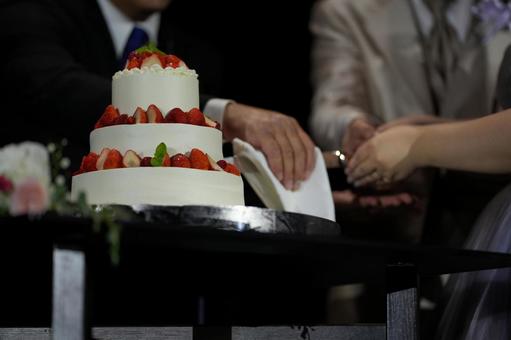 Photo, wedding, reception, wedding cake, 