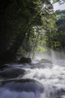 熊本-【菊池渓谷の光芒】 熊本-【菊池渓谷の光芒】 熊本,菊池渓谷,川の写真素材