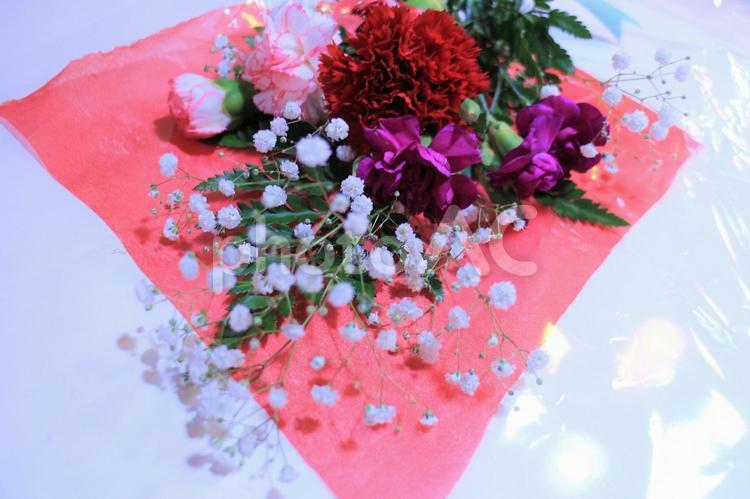カーネーションの花束　ありがとう カーネーション,花束,開くの写真素材