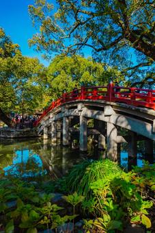 【福岡】太宰府天満宮の風景 福岡,太宰府駅,太宰府の写真素材