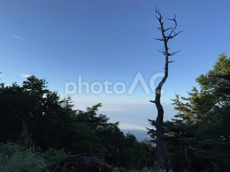 登山の風景 登山,山,風景の写真素材