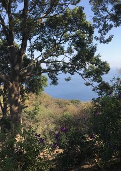 森 森 風景,ハイキング,自然の写真素材