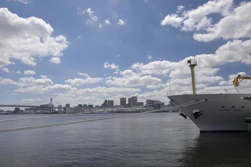 Photo, tokyo bay, landscape, the scenery, 