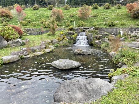 和風の池 和風の池の写真