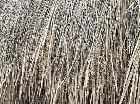 藁テクスチャーの写真