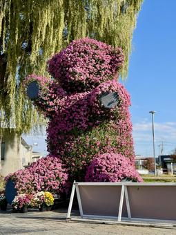 秋の武生中央公園　クマのトピアリーと柳 クマ,トピアリー,柳の写真素材