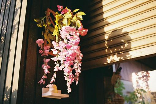 花の写真 花の写真の写真