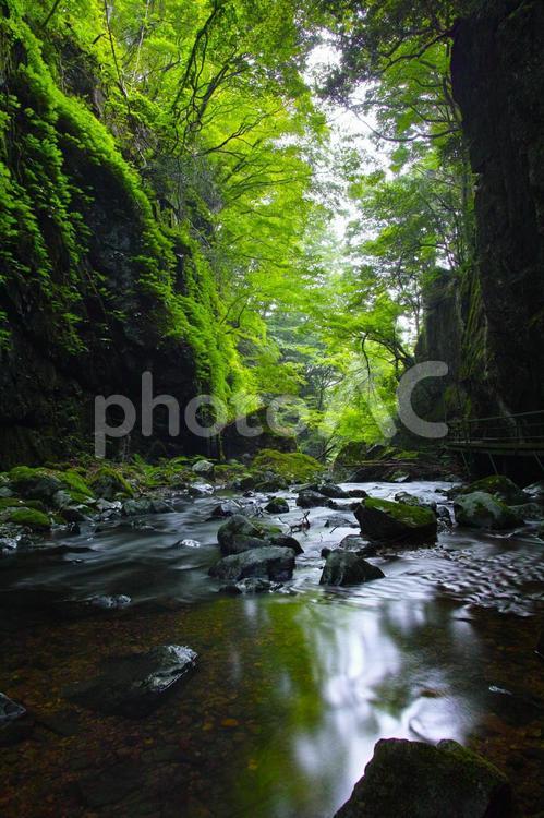 山乗渓谷・不動滝 山乗渓谷,渓谷,渓流の写真素材