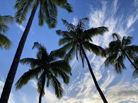 ハワイの空Ｃ ハワイ,海外,リゾートの写真素材