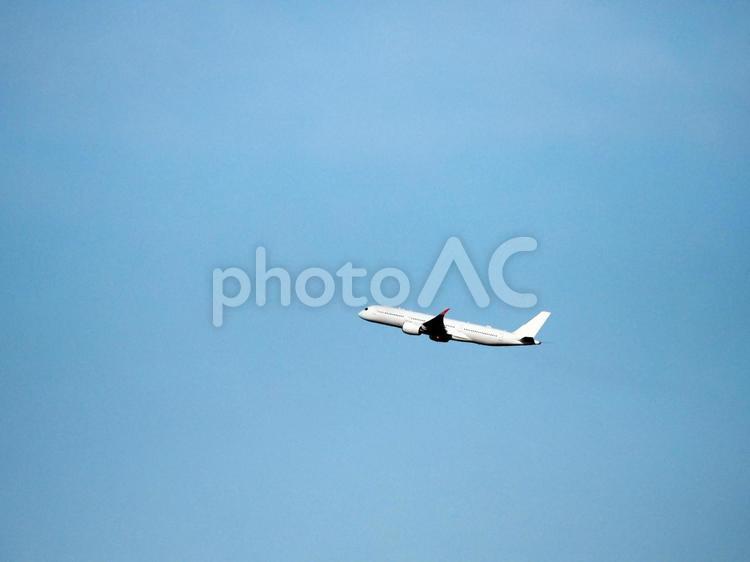 羽田空港の飛行機 飛行機,旅客機,羽田空港の写真素材