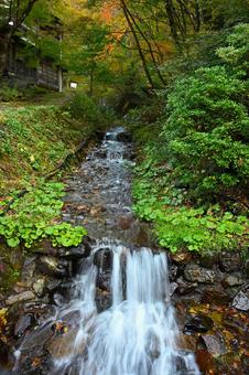 秋深まる山間のせせらぎ せせらぎ,流れ,紅葉の写真素材