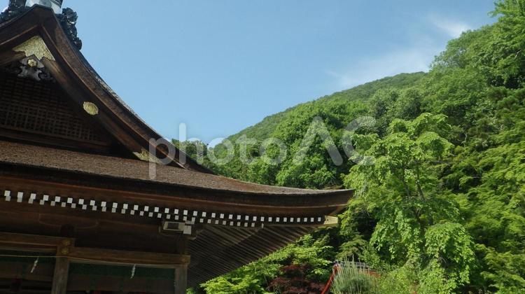 丹波国一之宮 出雲大神宮 拝殿と御神体山 出雲大神宮,出雲神社,元出雲の写真素材