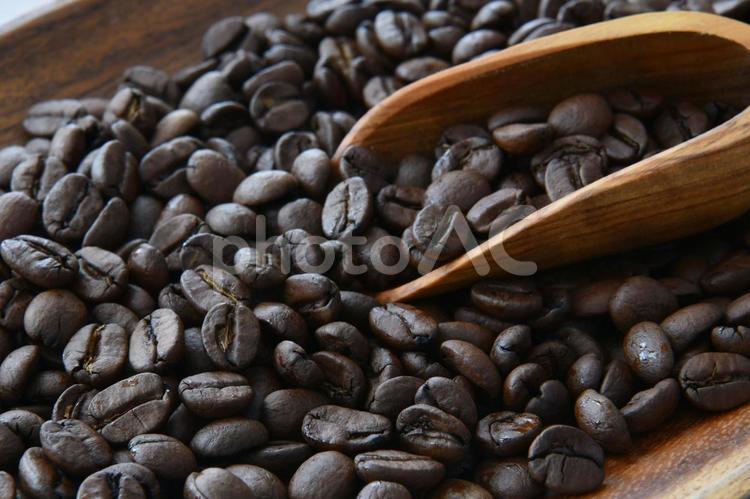 コーヒー豆　イメージ コーヒー豆,珈琲豆,coffeeの写真素材