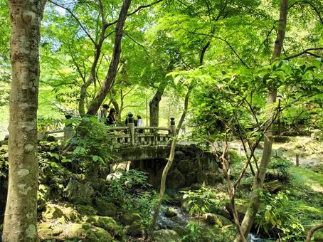 成田山新勝寺 成田山公園の明徳不動橋 成田山新勝寺 成田山公園の明徳不動橋 成田山公園,成田山,新勝寺の写真素材