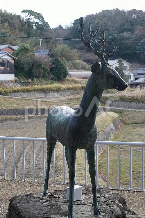 パワースポット　淡路島　春日神社㊴　鹿像 兵庫県,淡路島,パワースポットの写真素材