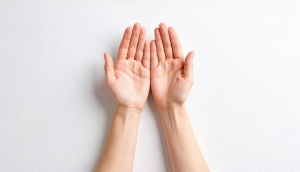 白背景で手の平を見せる女性の手元 白背景で手の平を見せる女性の手元の写真