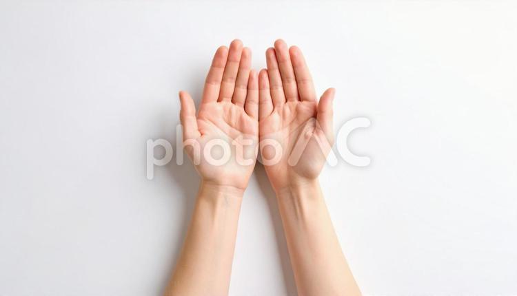 白背景で手の平を見せる女性の手元 手,女性,手の平の写真素材