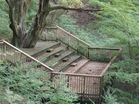 山の中の展望台2 展望台,デッキ,大木の写真素材