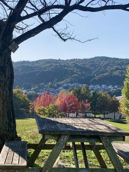 秋の日 秋,空,自然の写真素材