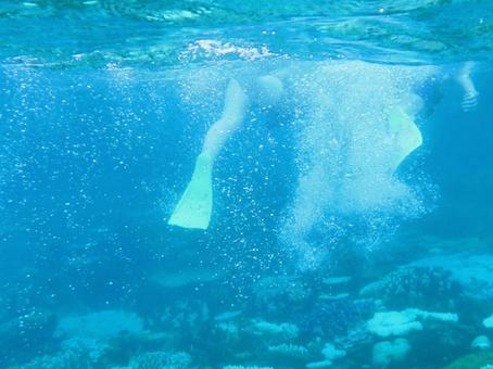 海の中 海の中の写真