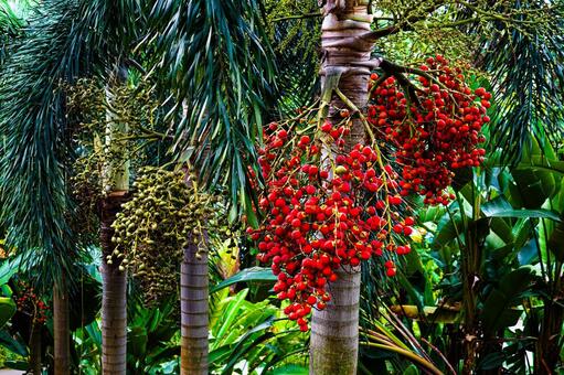 アブダビ国旗とビル uae国旗,アラブ首長国連邦,アブダビの写真素材