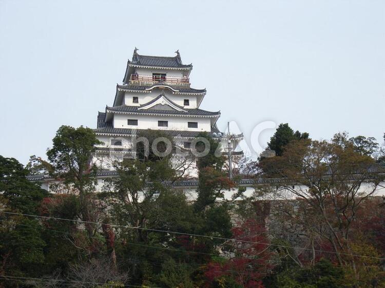 唐津城模擬天守 唐津城の写真素材