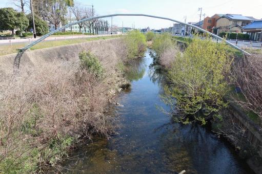 植田川 植田川の写真