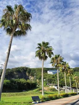 吉良ワイキキビーチ 吉良ワイキキビーチ 吉良ワイキキビーチ,吉良,海水浴場の写真素材
