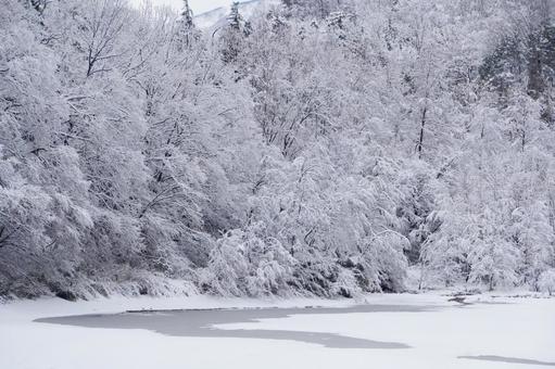 雪景色 雪景色の写真