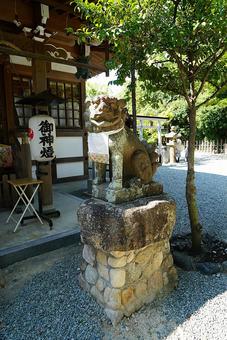 パワースポット 宝塚 鹿塩熊野神社⑯狛犬 パワースポット 宝塚 鹿塩熊野神社⑯狛犬の写真