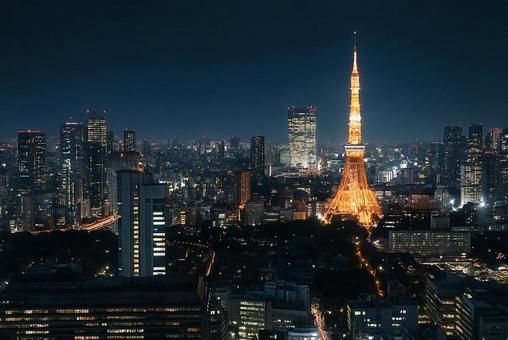 都会の夜景 都会の夜景の写真