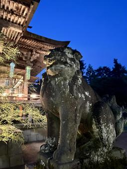 蒼柴神社の狛犬 蒼柴神社の狛犬 蒼柴神社,ライトアップ,七夕夏詣の写真素材