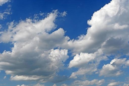 Photo, sunny day, munching, cloud, 
