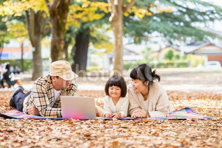 秋の公園でノートパソコンで遊ぶ家族・ファミリー 家族,親子,ノートパソコンの写真素材